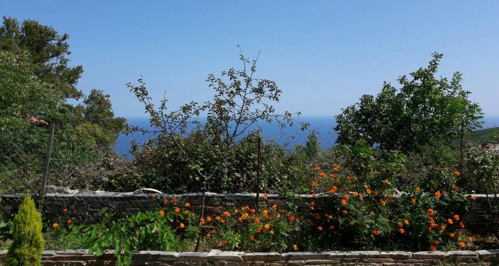 Apartments Spiros Pelion Kalamaki  Exterior foto